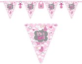Guirlande de banderoles 6 mètres naissance fille - guirlande de douche de bébé