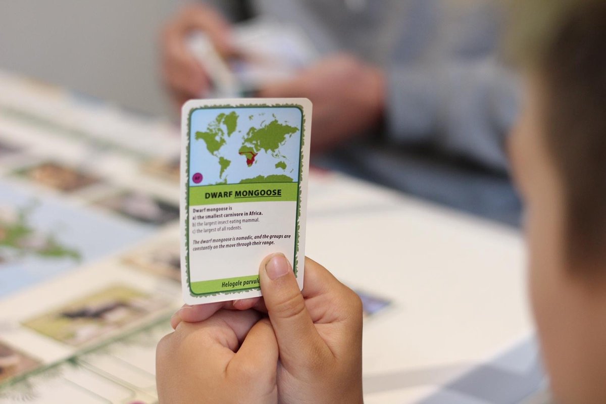 Tactic Dieren van de Wereld – Educatief spel – Leer de wilde dieren kennen – 200 Kaarten – 6 Speelborden met werelddelen — afbeelding 16
