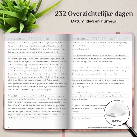 Systemyze Dagboek Volwassenen – Journal – A5 – Pink Sky
