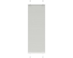 vidaXL - Plissé - rolgordijn - 40x100 - cm - stofbreedte - 39,4 - cm - lichtgrijs
