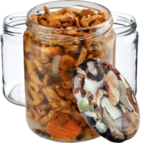 KADAX jampotten, 540 ml, inmaakpotten met schroefdeksel, glazen met schroefsluiting, weckpotten, voorraadpotten voor het plaatsen van komkommers (8 KADAX jampotten, 540 ml, inmaakpotten met schroefdeksel, glazen met schroefsluiting, weckpotten, voorraadpotten voor het plaatsen van komkommers (8