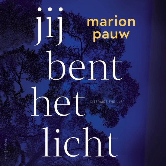 Jij bent het licht - cover