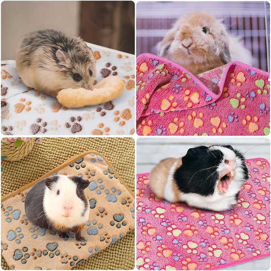 Fantastisch Schattig Katje Spelen Met Cadeau Op Een Zachte Deken Kleine Kat Die Naar De Doos Kijkt Zorg Dragen Voor Onze 167423180