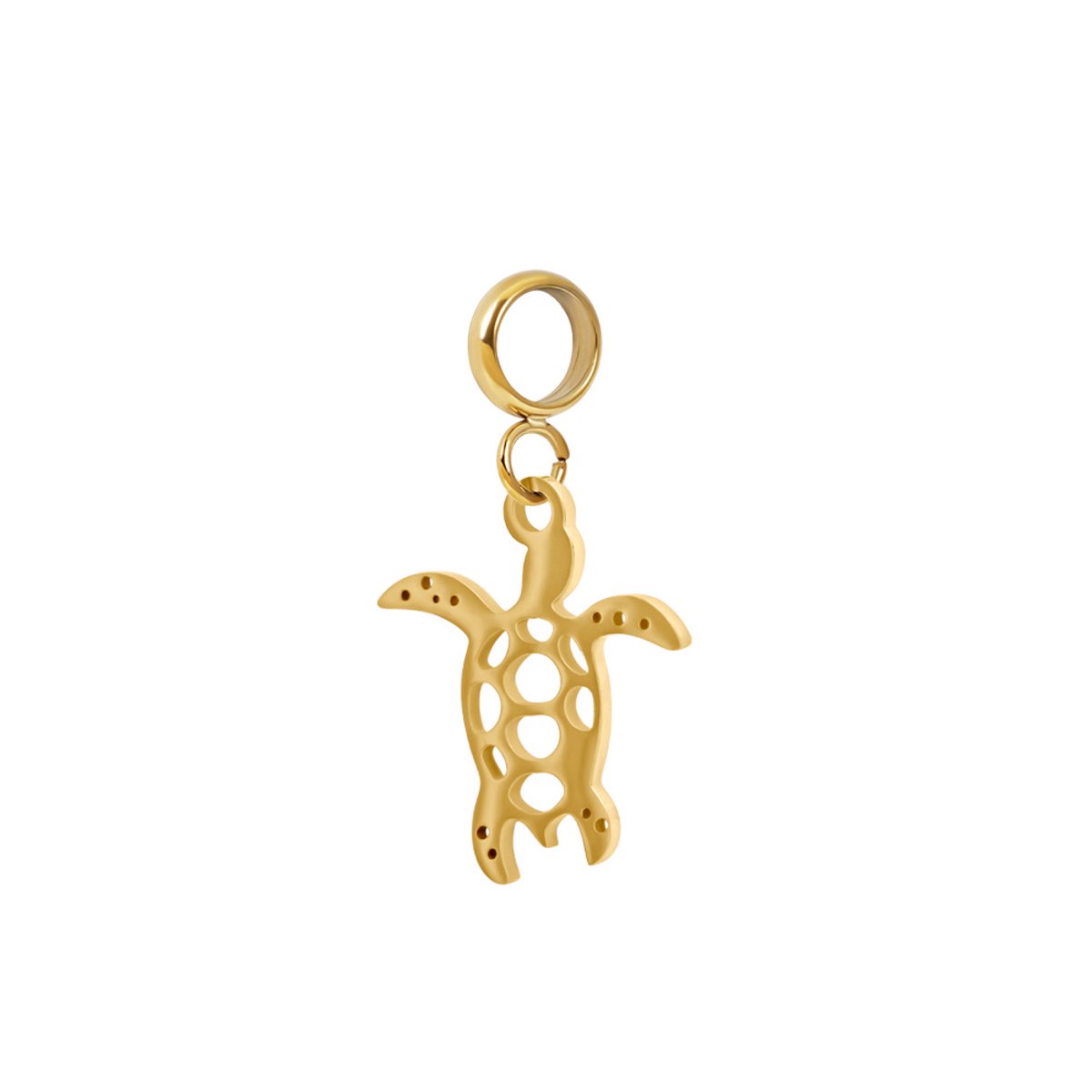iXXXi Connect Bedel Turtle | Goud
