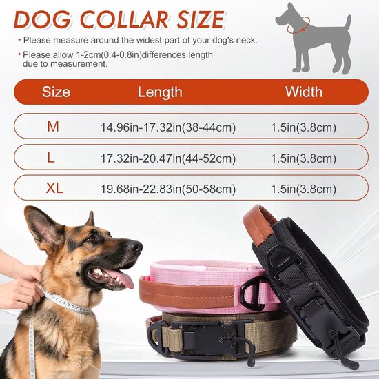 Hondenhalsband set - Dogs & Co