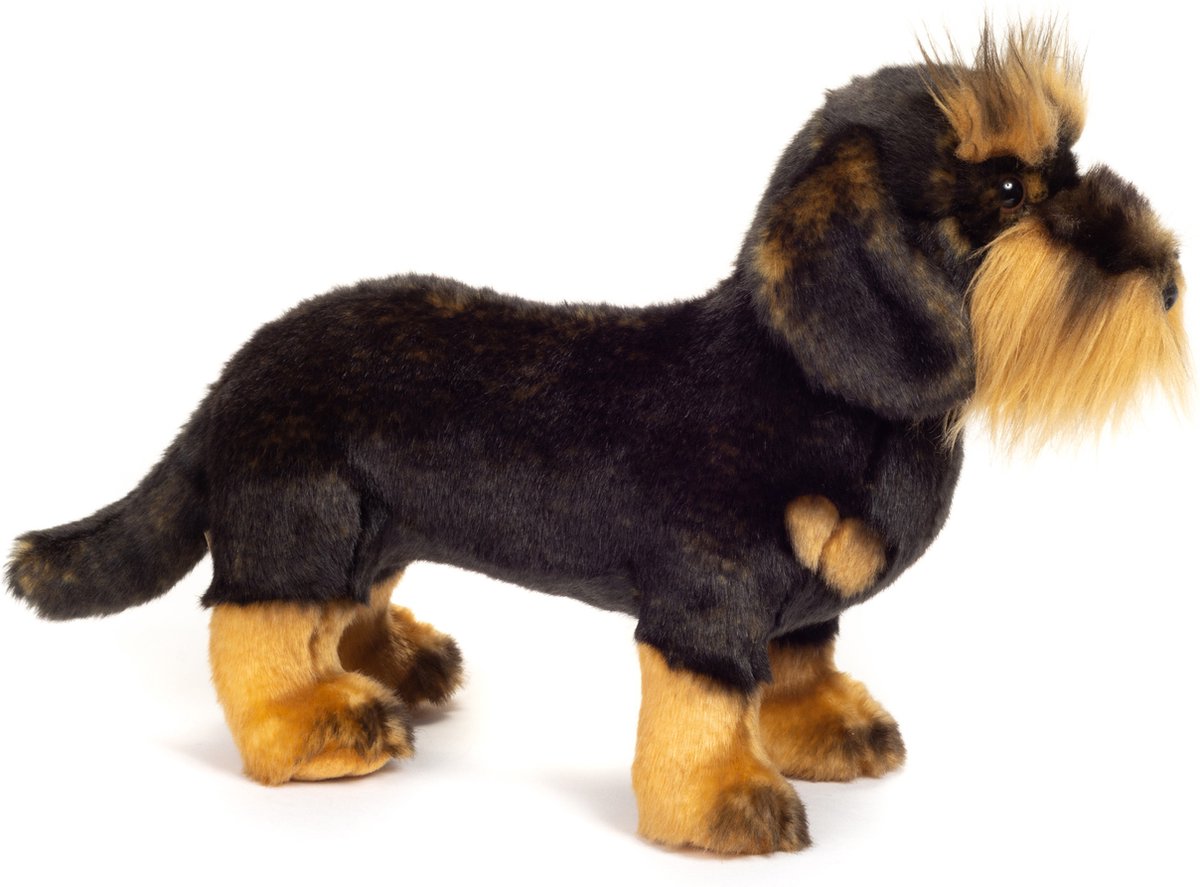 Hermann Teddy Knuffel Hond Ruwharige Teckel — afbeelding 2