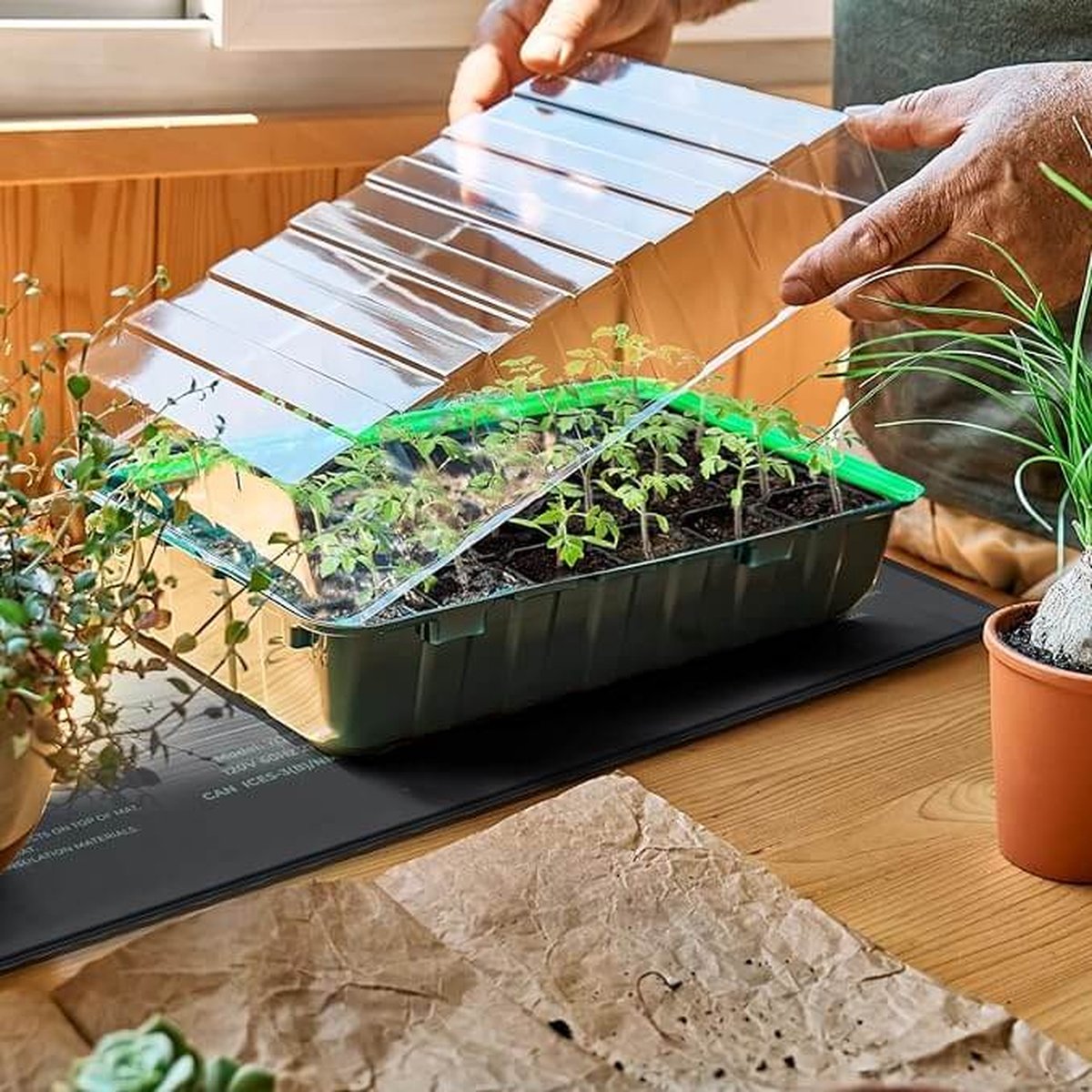 Hon&Guan Verwarmingsmat voor planten, 55 W, 1 stuk, 25 x 53 cm, voor G-H3D verwarmingsmat, dient ter verhoging van het aantal verwarmingskussens, zonder thermostaat