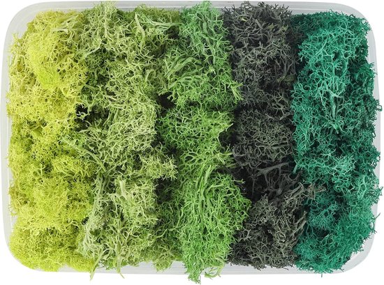 Kunstmos Decoratief - 5 Kleuren - Eeuwig Groen - Voor Huis en Tuin
