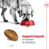 Royal Canin Maxi Adult - Hondenvoer - 4 kg