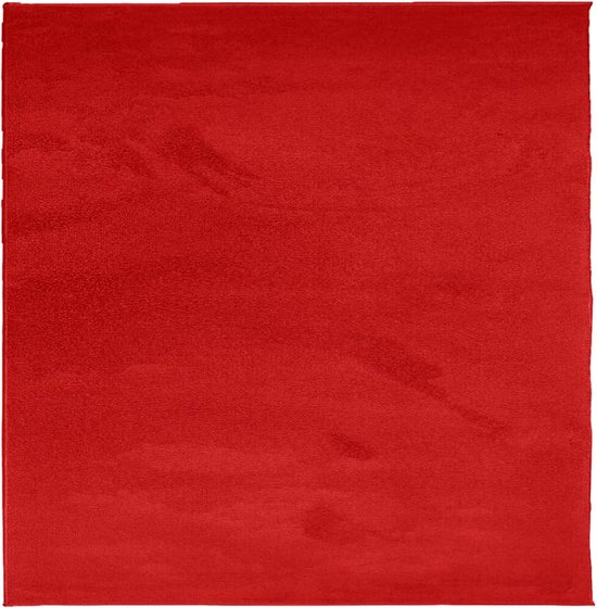 vidaXL - Vloerkleed - OVIEDO - laagpolig - 120x120 - cm - rood