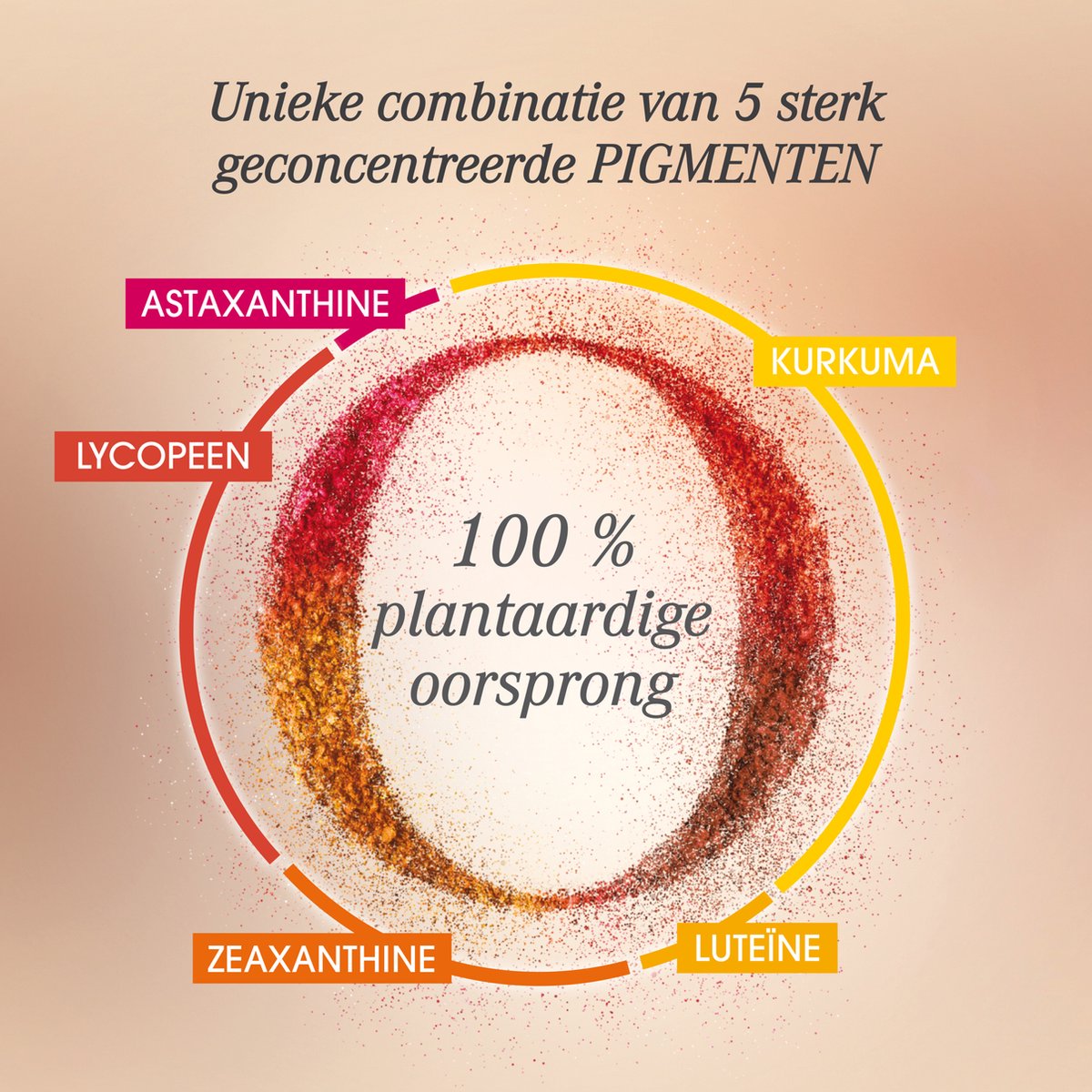 OENOBIOL Perfect Bronze Intense 2x30 Capsules - Zelfbruiner - Bruiningsversneller - Bruinen zonder zon - 2x30 caps – foto 7