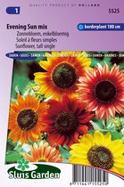 Sluis Garden- Zonnebloem Avondzon mix (Helianthus)