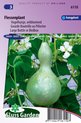 Sluis Garden - Cucurbita Flessenplant / Vogelhuisje