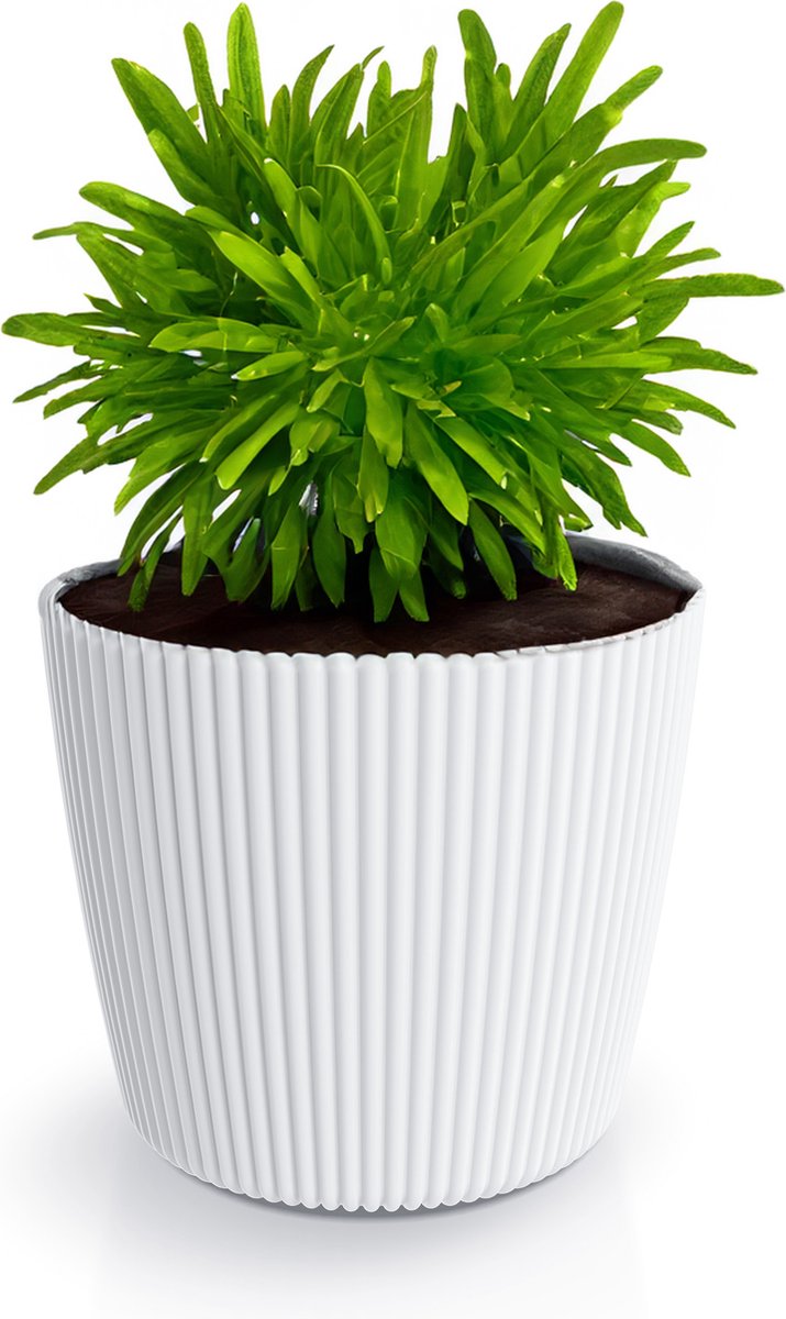 Prosperplast Plantenpot/bloempot Buckingham - buiten/binnen - design kunststof - ivoor wit - D29 x H26 cm