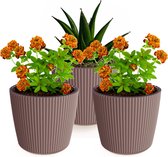 Prosperplast Plantenpot/bloempot Buckingham - 3x - buiten/binnen - terra - D14 x H13 cm