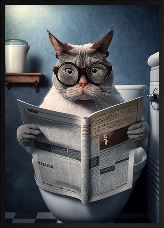 Breng Humor in Huis met Onze Grijze Kat op de WC Poster! Leuk voor je eigen huis of als cadeau. 50x70cm met witte lijst