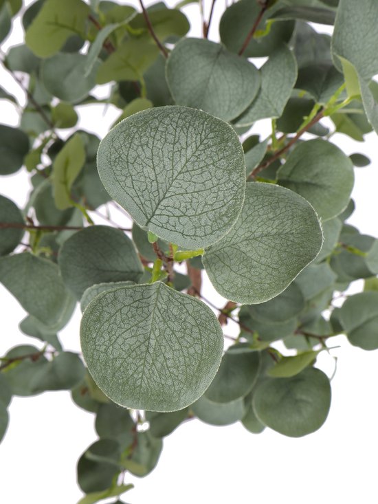 Art Eucalyptus Koala | 120cm - Faux eucalyptus - Plantes artificielles pour l'intérieur - Plante d'eucalyptus artificielle