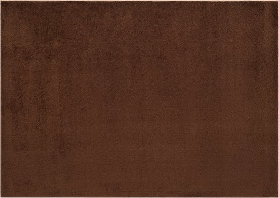 Tapiso Tapis câlin à poils longs marron antidérapant pour salon - 80 x 150 cm