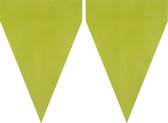FUNIDELIA 1 Lime Green Slinger - Verjaardag versiering voor meisjes