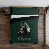 Noorse hoes Harry Potter Death Eaters Multicolour 220 x 220 cm Bed van 135/140