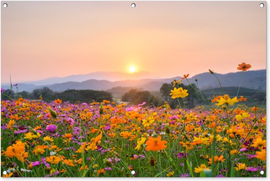 Tuinposter - Tuindoek - Tuinposters buiten - Bloemen - Zonsondergang - Berg - 120x80 cm - Tuin