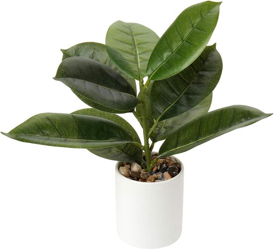 hjh OFFICE Kunstplant BUXUS Kunststof Groen