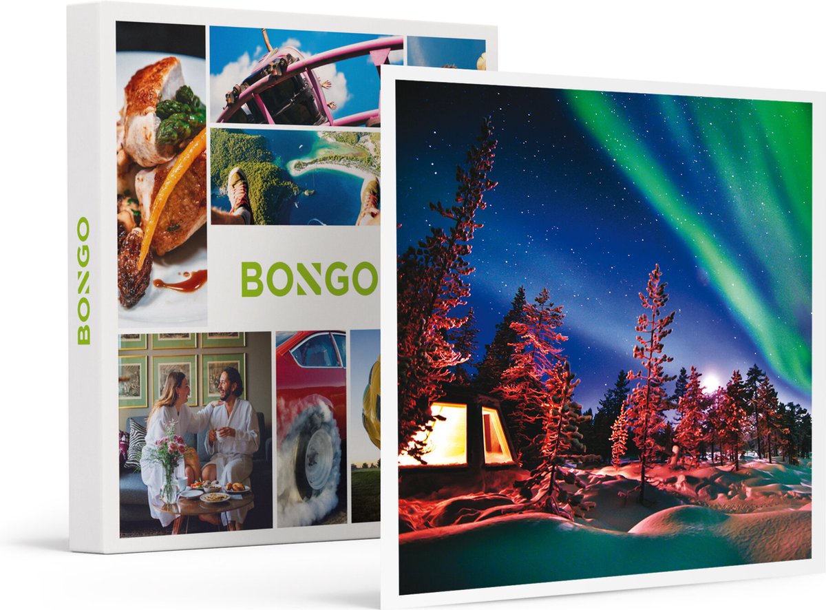 Bongo Bon -3 Dagen In Zweden Met Sledehondentocht En Zicht Op Het Noorderlicht- Cadeaukaart
