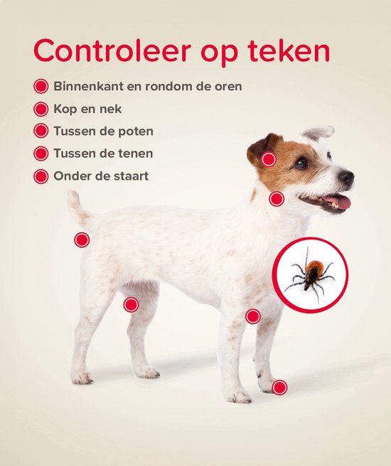 Jack russell terriër met rode cirkels die de teek-check plekken aangeven. Rechts een vergrote teek.