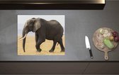 Inductieplaat Beschermer - Afrikaanse Olifant - 60x52 cm - 2 mm Dik - Inductie Beschermer - Bescherming Inductiekookplaat - Kookplaat Beschermer van Zwart Vinyl