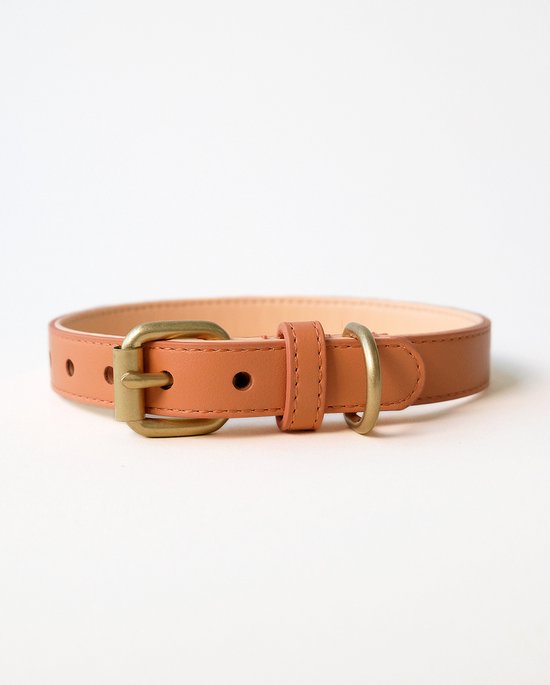 Foto: Wiggled hondenhalsband vegan leer maat l 40 5cm 51 5cm nek en 2 5 cm breed trendy en hip bijpassende riem mogelijk grote hond oranje