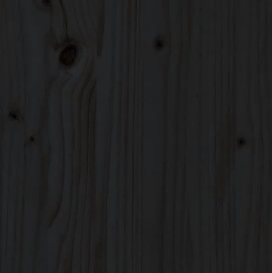 vidaXL - Slaapbank - uitschuifbaar - massief - grenenhout - zwart - 2x(80x200) - cm