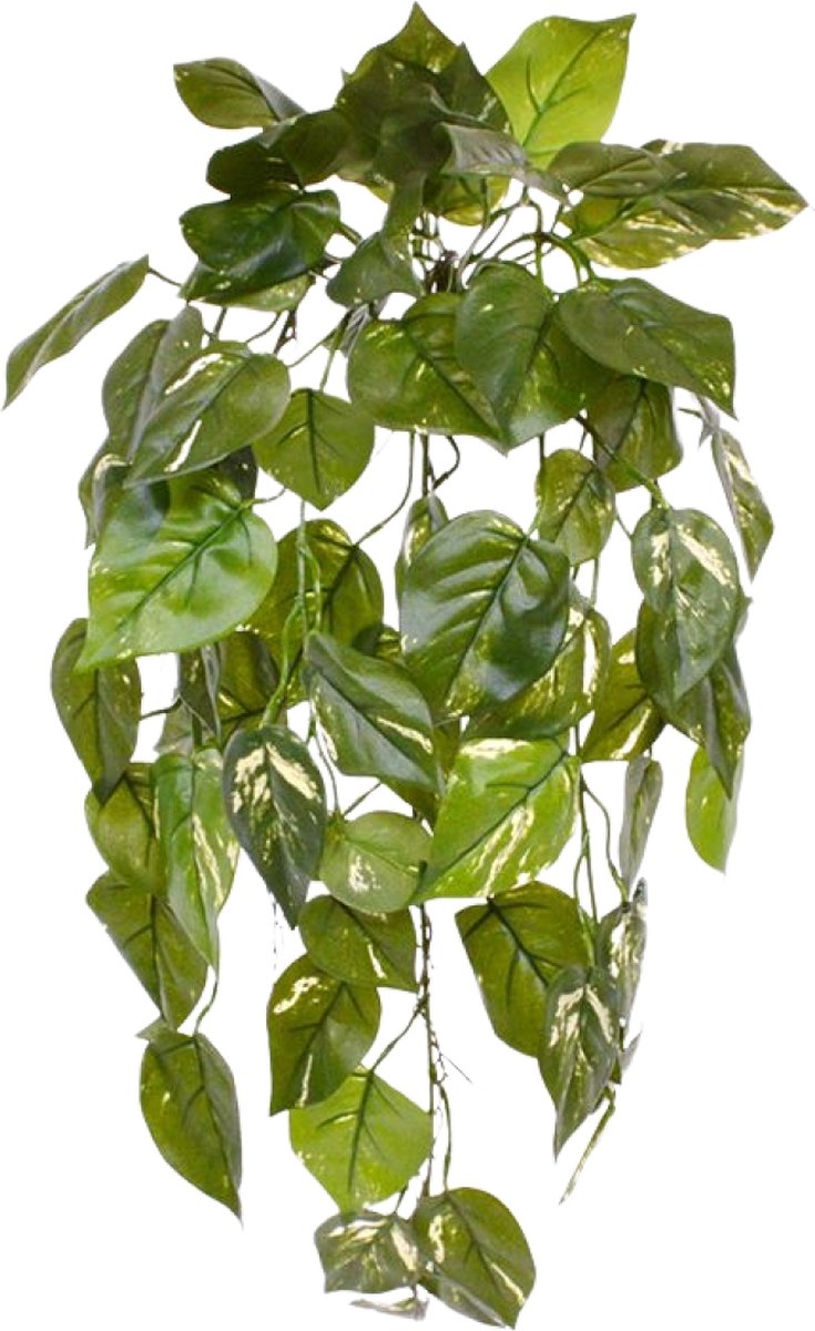 maxifleur Kunstplanten Pothos kunst hangplant deluxe 70cm - bont - FR - brandvertragend
