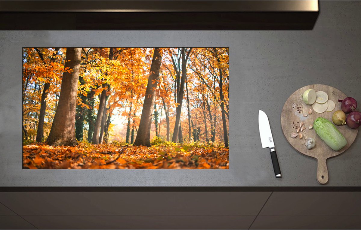Inductieplaat Beschermer - Bos in de Herfst vanaf Kikkerperspectief - 85x51 cm - 2 mm Dik - Inductie Beschermer - Bescherming Inductiekookplaat - Kookplaat Beschermer van Wit Vinyl