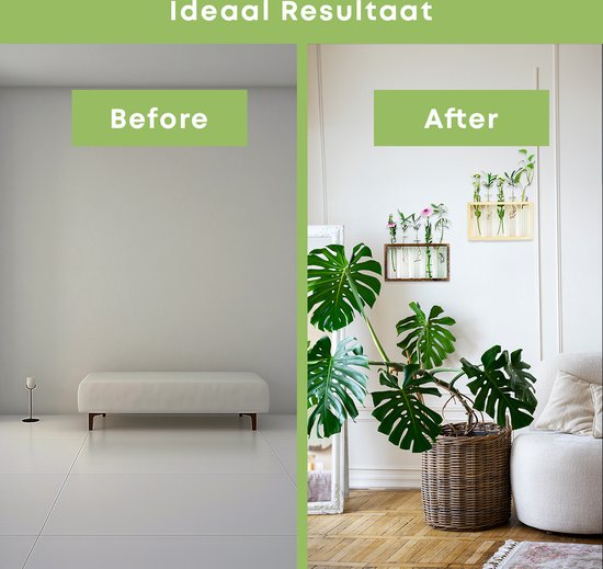 Vergelijking van een lege muur met een decoratieve muur met een plantenhouder, grote plant en een bank.