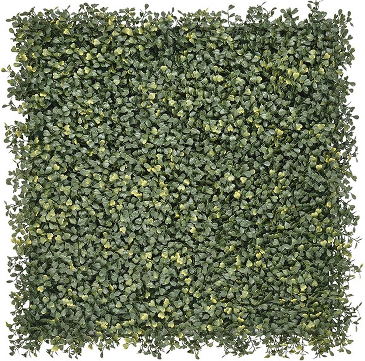 Kunsthaag Buxus Emmaus – 100 x 100 cm - Kunstklimop - Wandpaneel - Balkonscherm