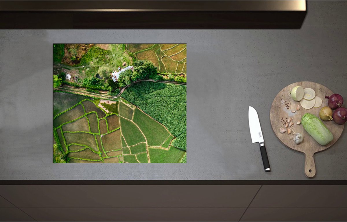 Inductieplaat Beschermer - Bovenaanzicht van een Landschap Gevuld met Rijstvelden - 58x52 cm - 2 mm Dik - Inductie Beschermer - Bescherming Inductiekookplaat - Kookplaat Beschermer van Wit Vinyl