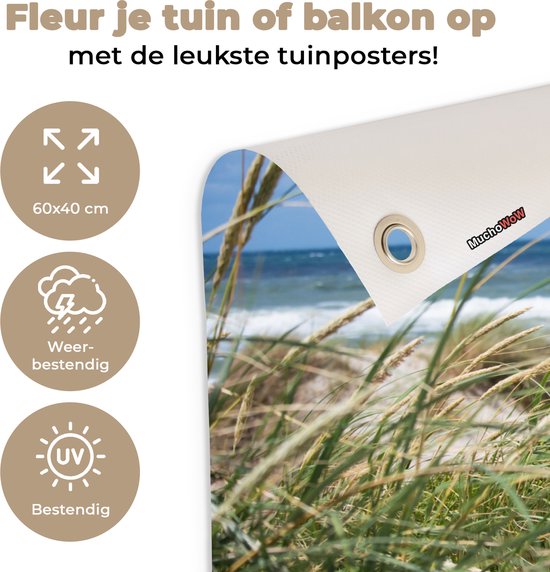 Décoration de jardin Plage - Vogel - Plantes - 60x40 cm - Poster jardin - Toile jardin - Poster extérieur