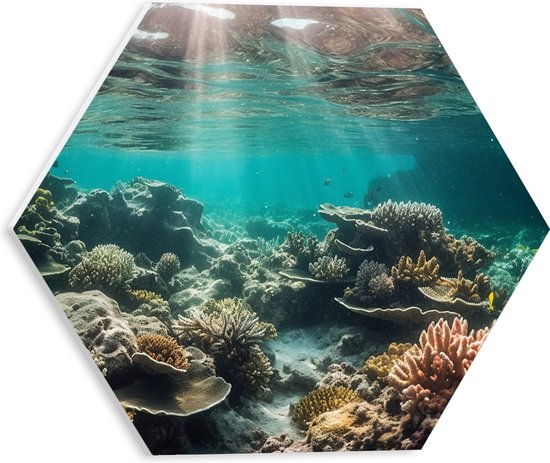PVC Schuimplaat Hexagon - Onderwater - Zee - Water - Koraal - Dieren - Kleuren - Zand - 30x26.1 cm Foto op Hexagon (Met Ophangsysteem)