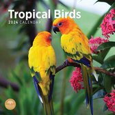 Calendrier des Vogels tropicaux 2024