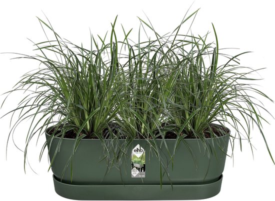 Elho Greenville Easy Balcony 52 - Balkonbak met Ophanging - 100% Gerecycled Plastic - L52 x B21.2 x H19.4 cm - Blad groen