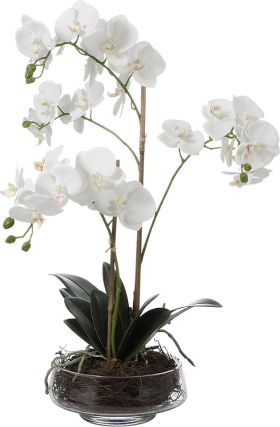 Kunstorchidee in witte pot H56