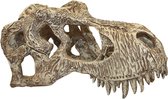 Komodo t-rex schedel