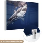 MuchoWow® Peinture sur Verre - Requin Humain - 180x120 cm - Peintures Acrylique - Photo sur Glas