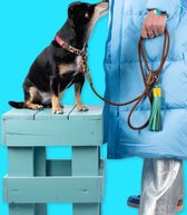 DWAM Dog with a Mission Hondenriem – Riem voor honden – Bruin – Polyester/Leer – L – 155 x 1.4 cm – Rover