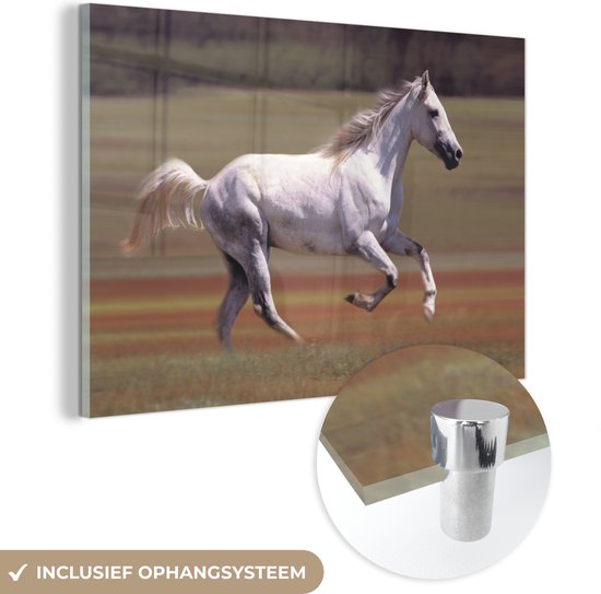 MuchoWow® Glasschilderij 180x120 cm - Schilderij acrylglas - Paard - Licht - Gras - Foto op glas - Schilderijen