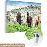 MuchoWow® Glasschilderij 120x80 cm - Schilderij acrylglas - Alpaca - Berg - Gras - Foto op glas - Schilderijen