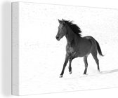 Canvas Schilderij Paso Fino paard in de sneeuw - zwart wit - 90x60 cm - Wanddecoratie