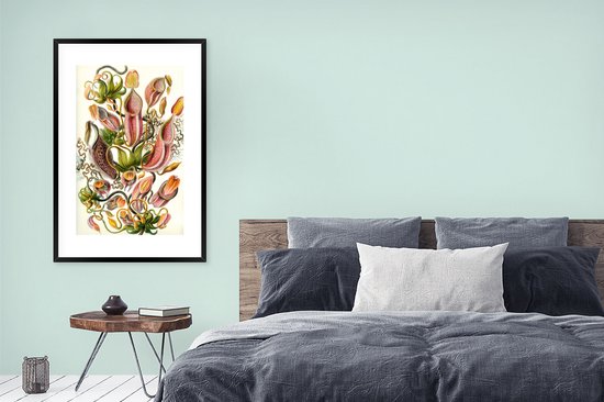 Affiche avec cadre Design - Botanique - plant carnivore - Ernst Haeckel - 80x120 cm
