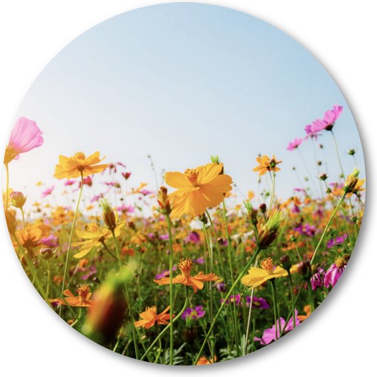 Bloemen in veld met zonsondergang - Muurcirkel 70cm - Wandcirkel voor buiten - Aluminium Dibond - Natuur - Bloemen