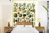 Behang - Fotobehang Fruit - Eten - Design - Vintage - Adolphe Millot - Breedte 205 cm x hoogte 280 cm